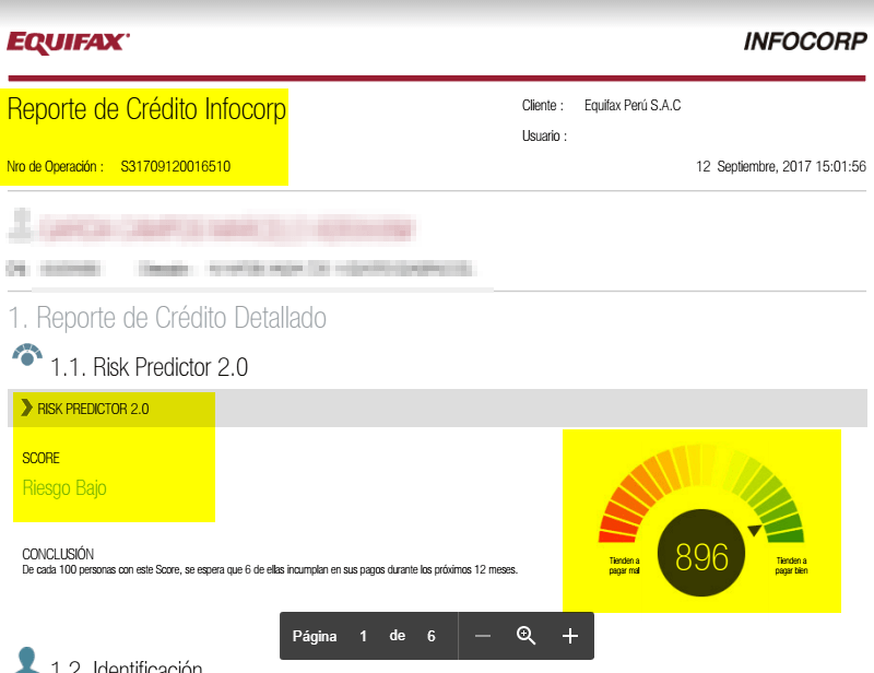 8.REPORTE DE DEUDA INFOCORP