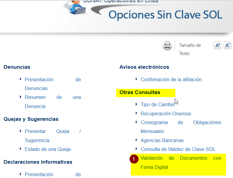 9 reporte certificado de tu Ficha RUC